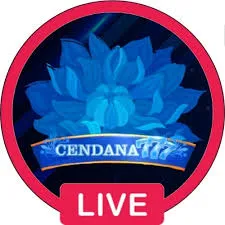 CENDANA777 - Petualangan Memancing yang Seru